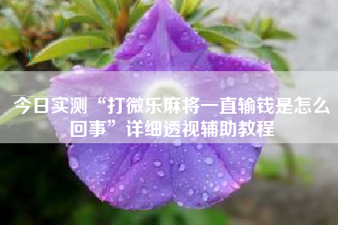 今日实测“打微乐麻将一直输钱是怎么回事”详细透视辅助教程