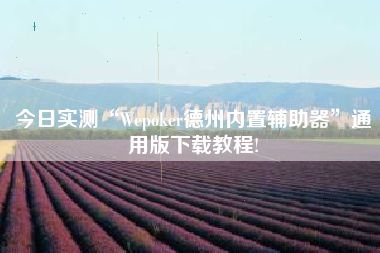 今日实测“Wepoker德州内置辅助器”通用版下载教程!