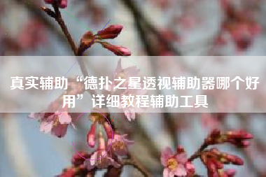 真实辅助“德扑之星透视辅助器哪个好用”详细教程辅助工具