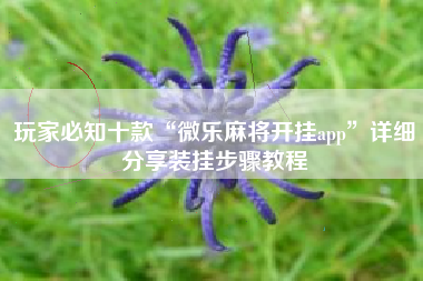 玩家必知十款“微乐麻将开挂app	”详细分享装挂步骤教程