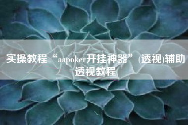 实操教程“aapoker开挂神器”(透视)辅助透视教程