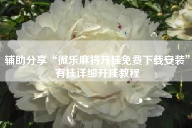 辅助分享“微乐麻将开挂免费下载安装	”有挂详细开挂教程