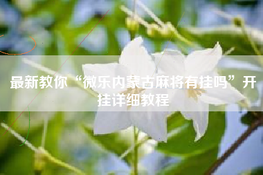 最新教你“微乐内蒙古麻将有挂吗”开挂详细教程