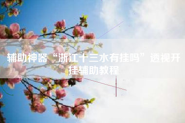 辅助神器“浙江十三水有挂吗”透视开挂辅助教程