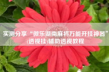 实测分享“微乐湖南麻将万能开挂神器”(透视挂)辅助透视教程