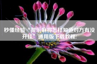 秒懂经验“微乐麻将怎样知道对方有没开挂”通用版下载教程!