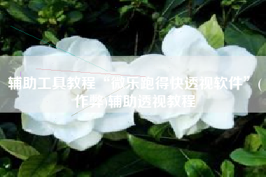 辅助工具教程“微乐跑得快透视软件	”(作弊)辅助透视教程