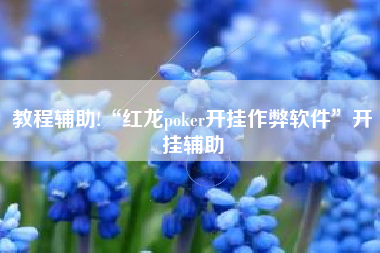 教程辅助!“红龙poker开挂作弊软件”开挂辅助
