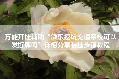 万能开挂辅助“微乐挖坑充值系统可以发好牌吗	”详细分享装挂步骤教程