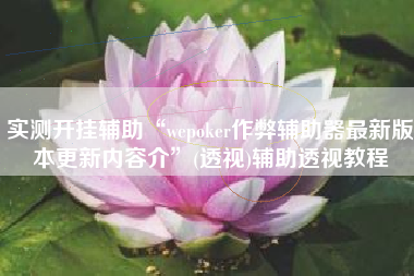 实测开挂辅助“wepoker作弊辅助器最新版本更新内容介”(透视)辅助透视教程