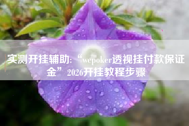 实测开挂辅助:“wepoker透视挂付款保证金	”2026开挂教程步骤