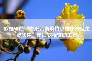 教程辅助“微乐云南麻将小程序开挂免费软件”详细教程辅助工具