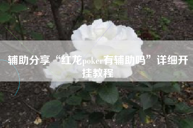 辅助分享“红龙poker有辅助吗”详细开挂教程
