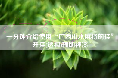 一分钟介绍使用“广西山水麻将的挂	”开挂(透视)辅助神器