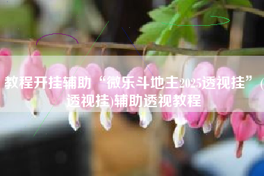 教程开挂辅助“微乐斗地主2025透视挂”(透视挂)辅助透视教程