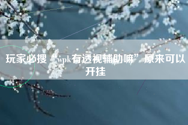 玩家必搜“wpk有透视辅助嘛	”原来可以开挂