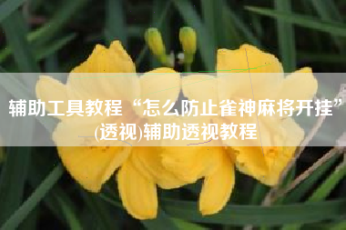 辅助工具教程“怎么防止雀神麻将开挂”(透视)辅助透视教程