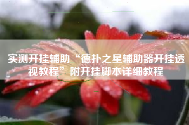 实测开挂辅助“德扑之星辅助器开挂透视教程”附开挂脚本详细教程