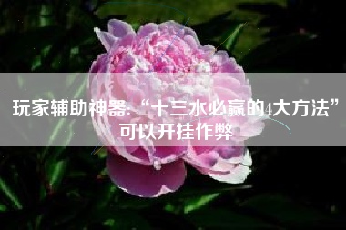 玩家辅助神器:“十三水必赢的4大方法”可以开挂作弊