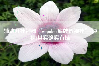 辅助开挂神器“wepoker底牌透视挂”(透视)其实确实有挂