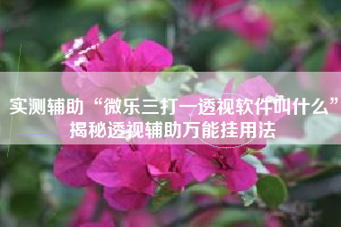 实测辅助“微乐三打一透视软件叫什么”揭秘透视辅助万能挂用法