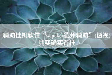辅助挂机软件“wepoker德州辅助	”(透视)其实确实有挂