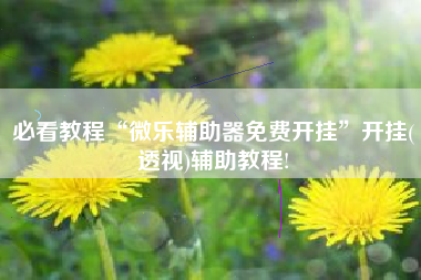 必看教程“微乐辅助器免费开挂”开挂(透视)辅助教程!