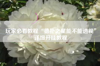 玩家必看教程“德扑之星能不能透视”详细开挂教程