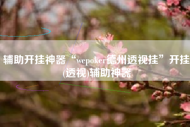 辅助开挂神器“wepoker德州透视挂	”开挂(透视)辅助神器