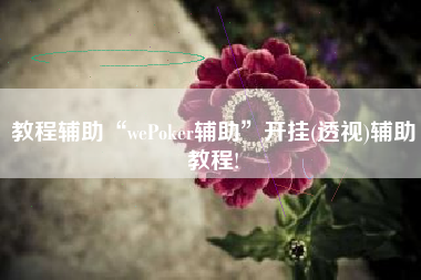 教程辅助“wePoker辅助”开挂(透视)辅助教程!