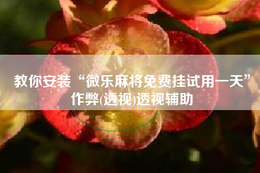 教你安装“微乐麻将免费挂试用一天”作弊(透视)透视辅助