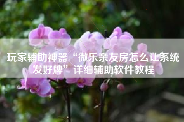 玩家辅助神器“微乐亲友房怎么让系统发好牌	”详细辅助软件教程