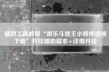 辅助工具教程“微乐斗地主小程序透视下载”开挂辅助脚本+详细开挂