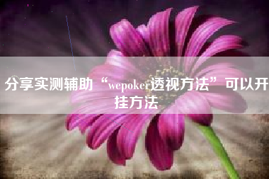 分享实测辅助“wepoker透视方法”可以开挂方法