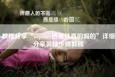 教程分享“wepoker透视挂真的假的”详细分享装挂步骤教程