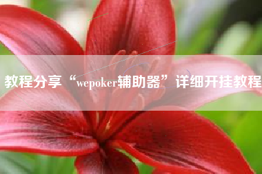 教程分享“wepoker辅助器	”详细开挂教程