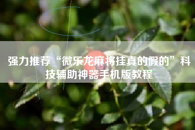 强力推荐“微乐龙麻将挂真的假的	”科技辅助神器手机版教程