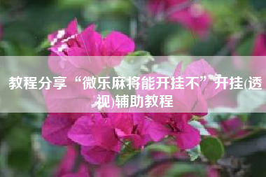 教程分享“微乐麻将能开挂不”开挂(透视)辅助教程