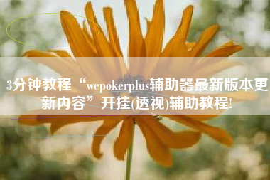 3分钟教程“wepokerplus辅助器最新版本更新内容	”开挂(透视)辅助教程!