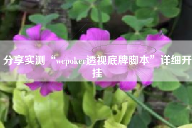 分享实测“wepoker透视底牌脚本	”详细开挂