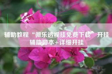 辅助教程“微乐透视挂免费下载	”开挂辅助脚本+详细开挂