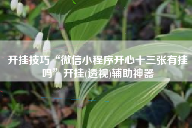 开挂技巧“微信小程序开心十三张有挂吗”开挂(透视)辅助神器