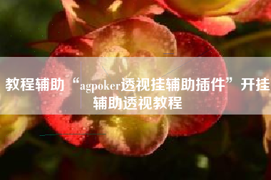 教程辅助“agpoker透视挂辅助插件	”开挂辅助透视教程