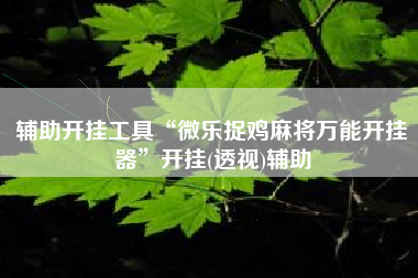 辅助开挂工具“微乐捉鸡麻将万能开挂器	”开挂(透视)辅助