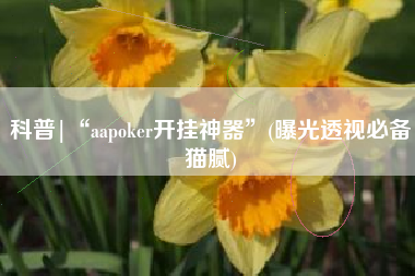 科普|“aapoker开挂神器”(曝光透视必备猫腻)