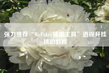 强力推荐“WePoker辅助工具”透视开挂辅助教程