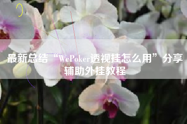 最新总结“WePoker透视挂怎么用”分享辅助外挂教程