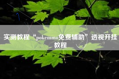 实测教程“pokemmo免费辅助”透视开挂教程