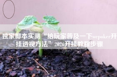 独家脚本实测“给玩家普及一下wepoker开挂透视方法”2026开挂教程步骤