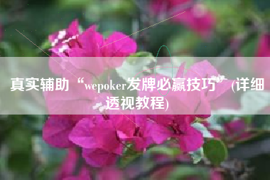 真实辅助“wepoker发牌必赢技巧	”(详细透视教程)